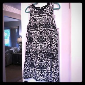 Ann Taylor Loft Dress